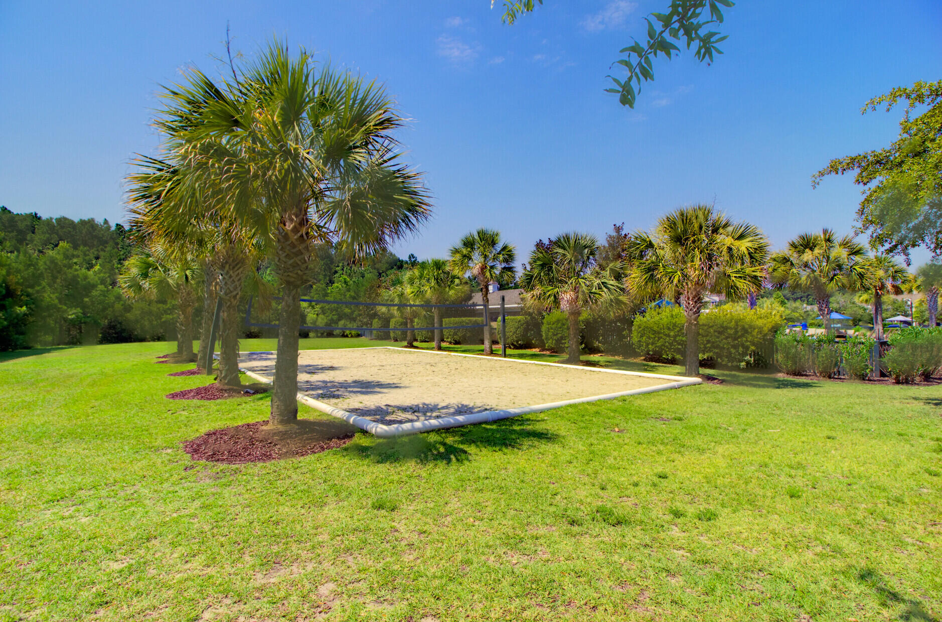3245 Beaconsfield Road Mount Pleasant, SC 29466 - Photo 39 of 41 Sand volleyball court