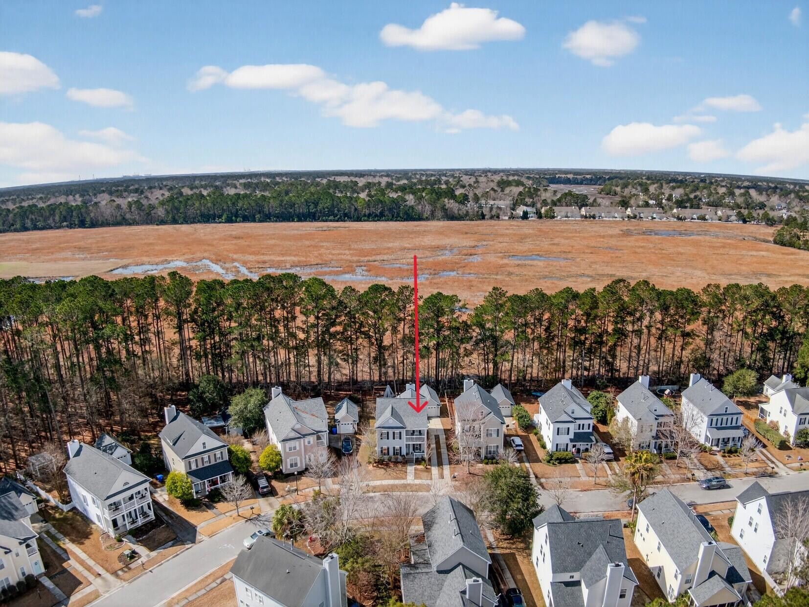 3245 Beaconsfield Road Mount Pleasant, SC 29466 - Photo 41 of 41 Aerial view