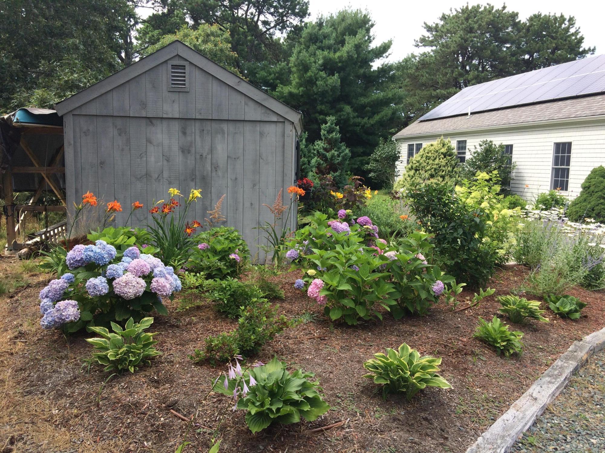 35 Sands Road Eastham, MA 02642 - Photo 58 of 79 IMG_3133