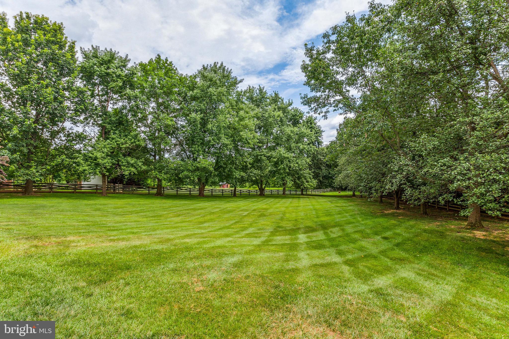 13474 Open Highland, MD 20777 - Photo 8 of 81 Rear yard