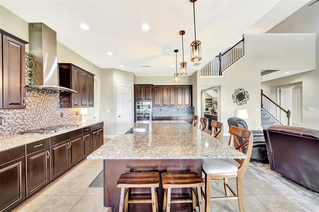 6324 Brevada Lane Apollo Beach, FL 33572 - Photo 17 of 45 a large kitchen with granite countertop lots of counter space and window
