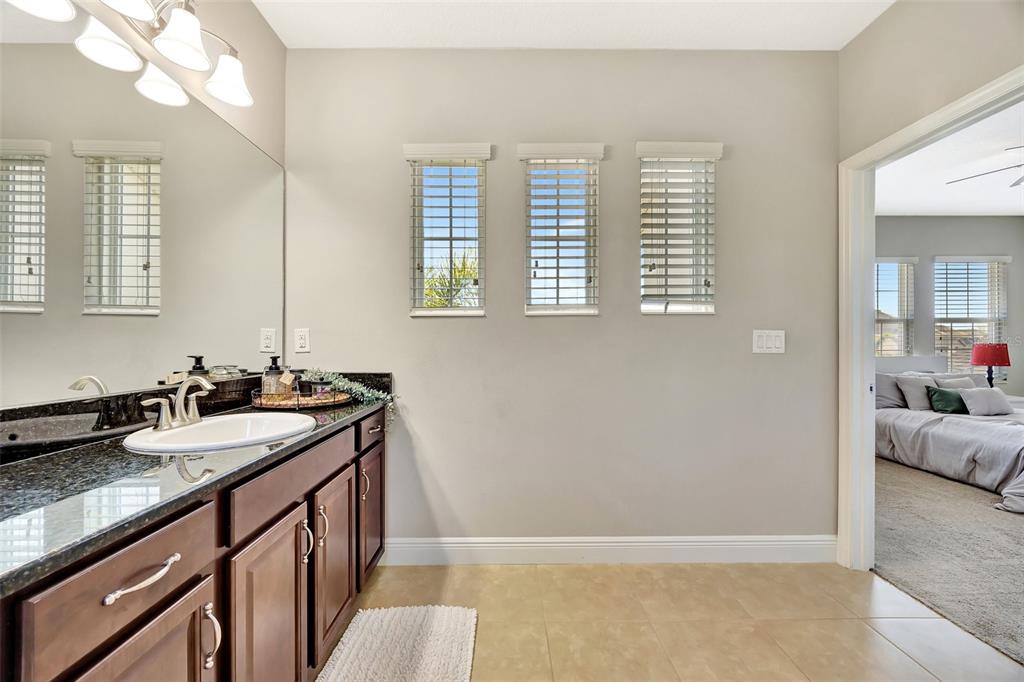 6324 Brevada Lane Apollo Beach, FL 33572 - Photo 37 of 45 a bathroom with a granite countertop sink and a mirror