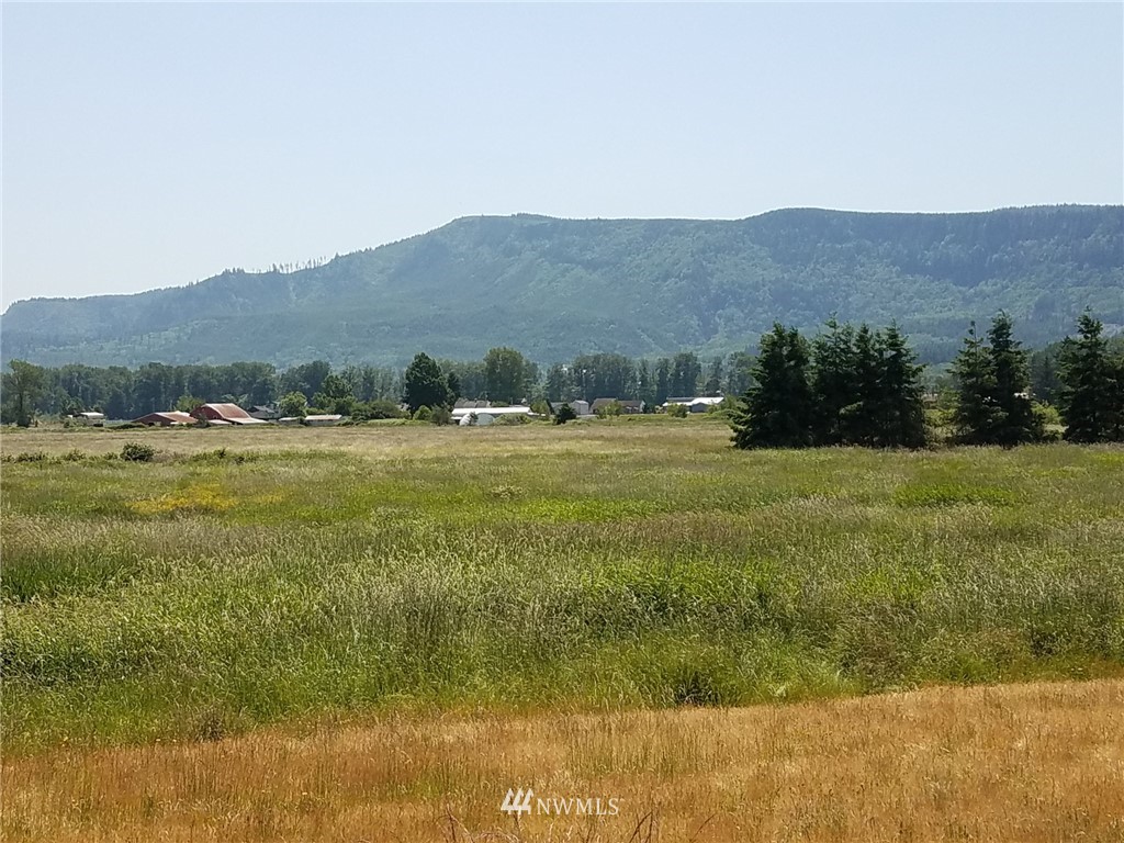 167 South Welcome Slough Road Cathlamet, WA 98612 - Photo 1 of 9 Gallery Image 1
