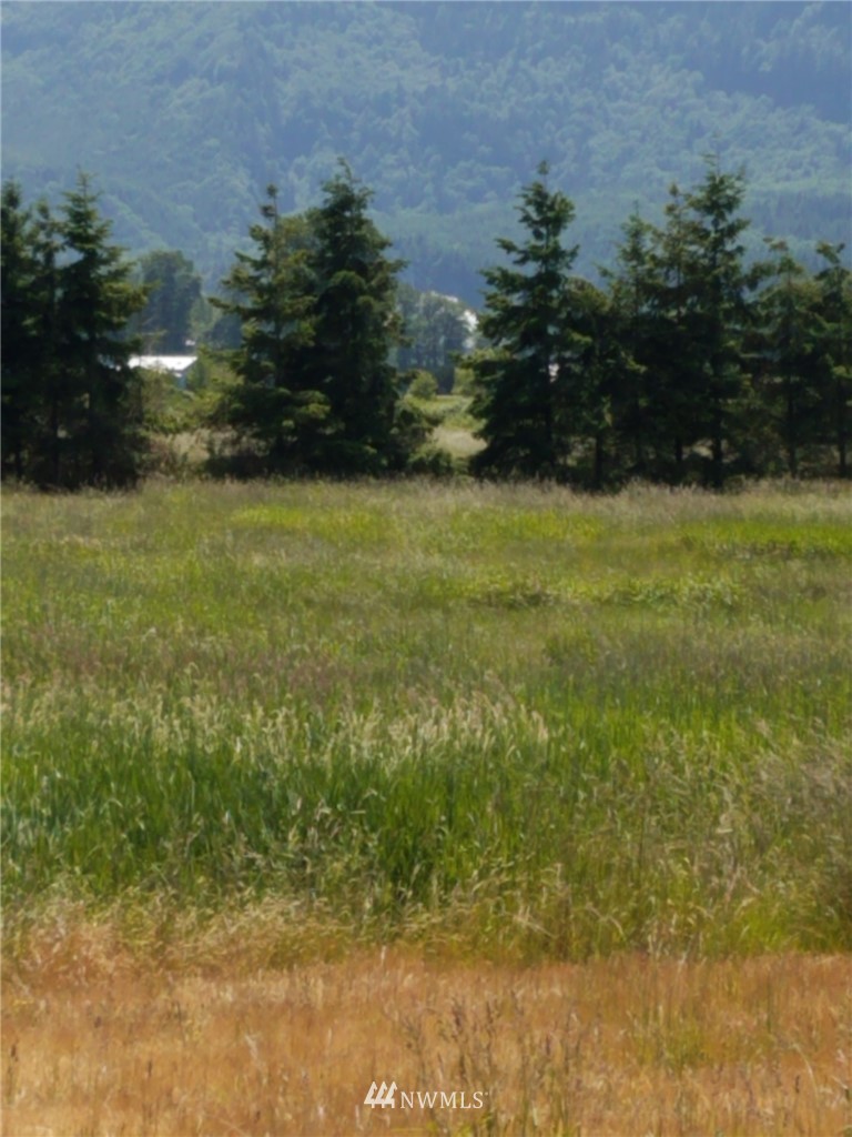 167 South Welcome Slough Road Cathlamet, WA 98612 - Photo 3 of 9 Gallery Image 3