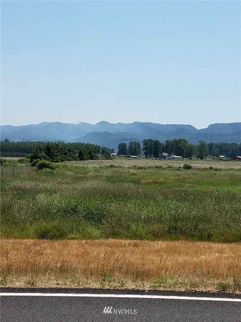 167 South Welcome Slough Road Cathlamet, WA 98612 - Photo 5 of 9 Gallery Image 5