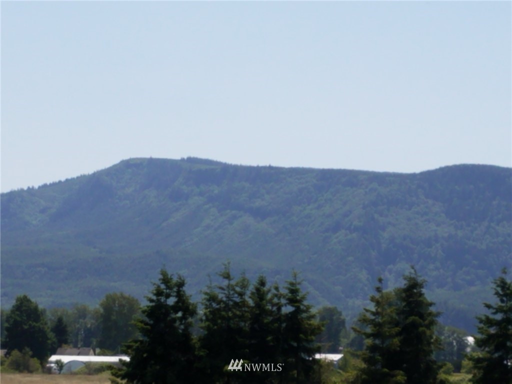 167 South Welcome Slough Road Cathlamet, WA 98612 - Photo 6 of 9 Gallery Image 6