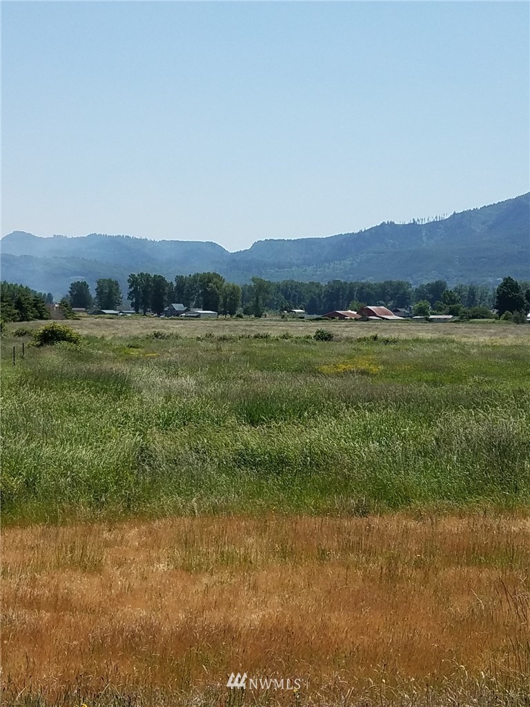 167 South Welcome Slough Road Cathlamet, WA 98612 - Photo 7 of 9 Gallery Image 7
