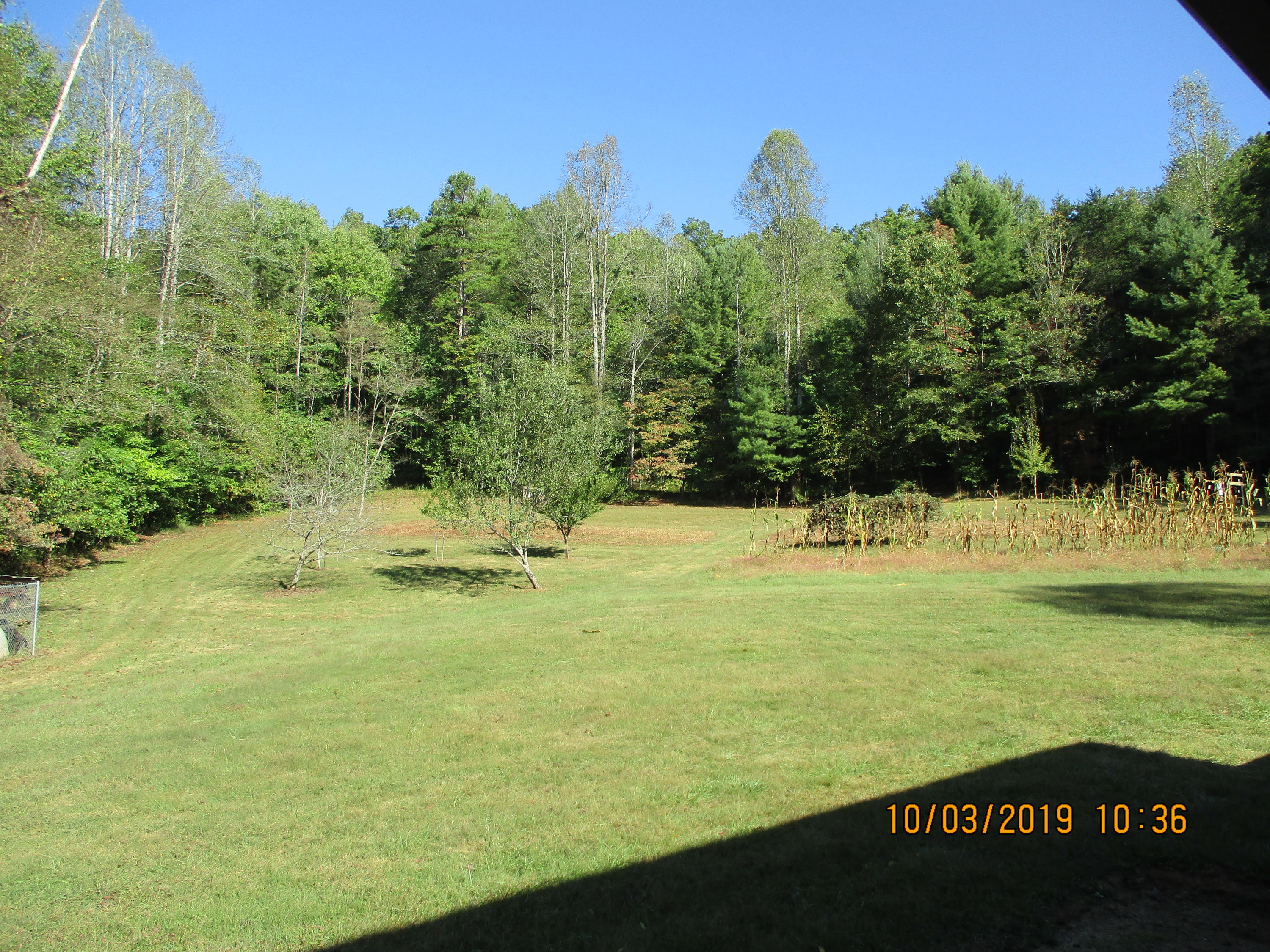 134 Roy Garland Road Elizabethton, TN 37643 - Photo 13 of 45 Dane 50