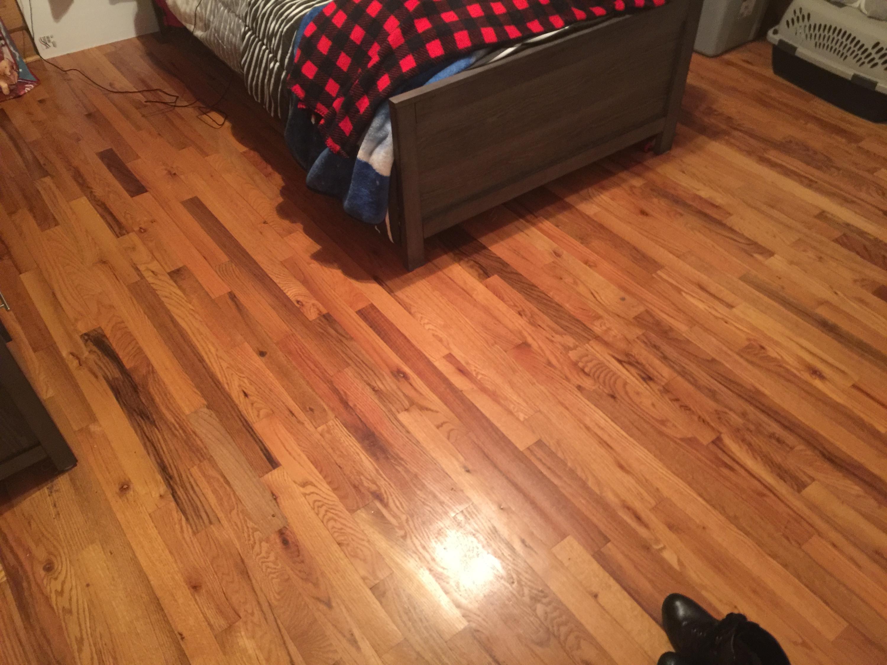 134 Roy Garland Road Elizabethton, TN 37643 - Photo 27 of 45 Dane 23