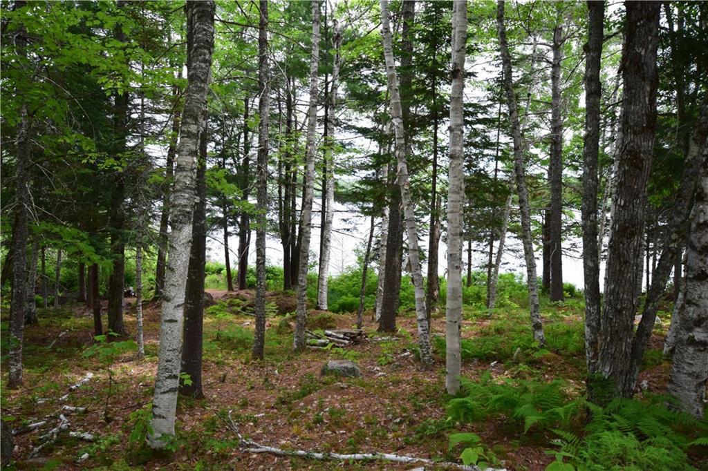20 C Madagascal Pond Road Burlington, ME 04417 - Photo 8 of 17 Photo