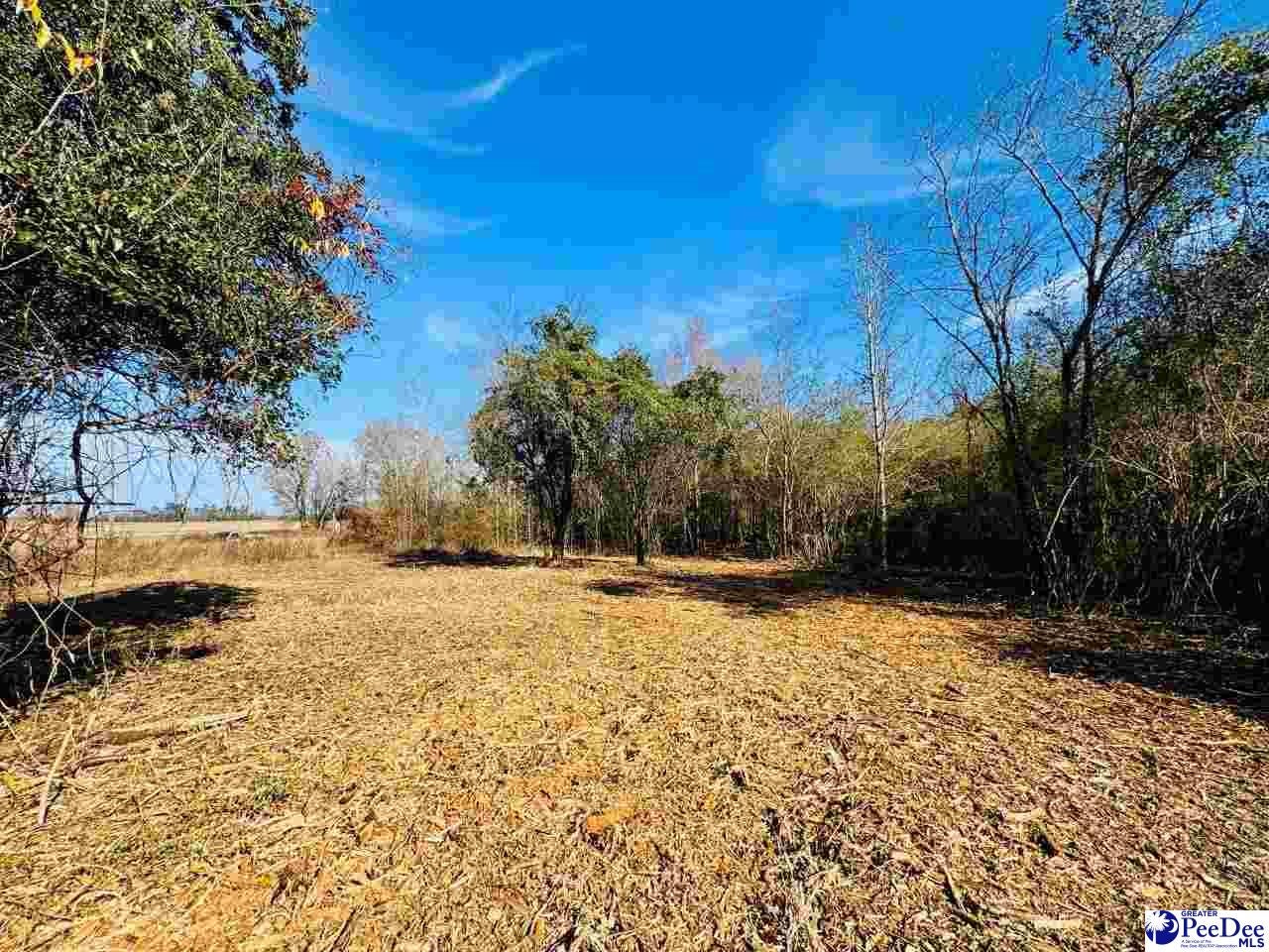Kentyre Road Hamer, SC 29547 - Photo 12 of 24 Gallery Image 12