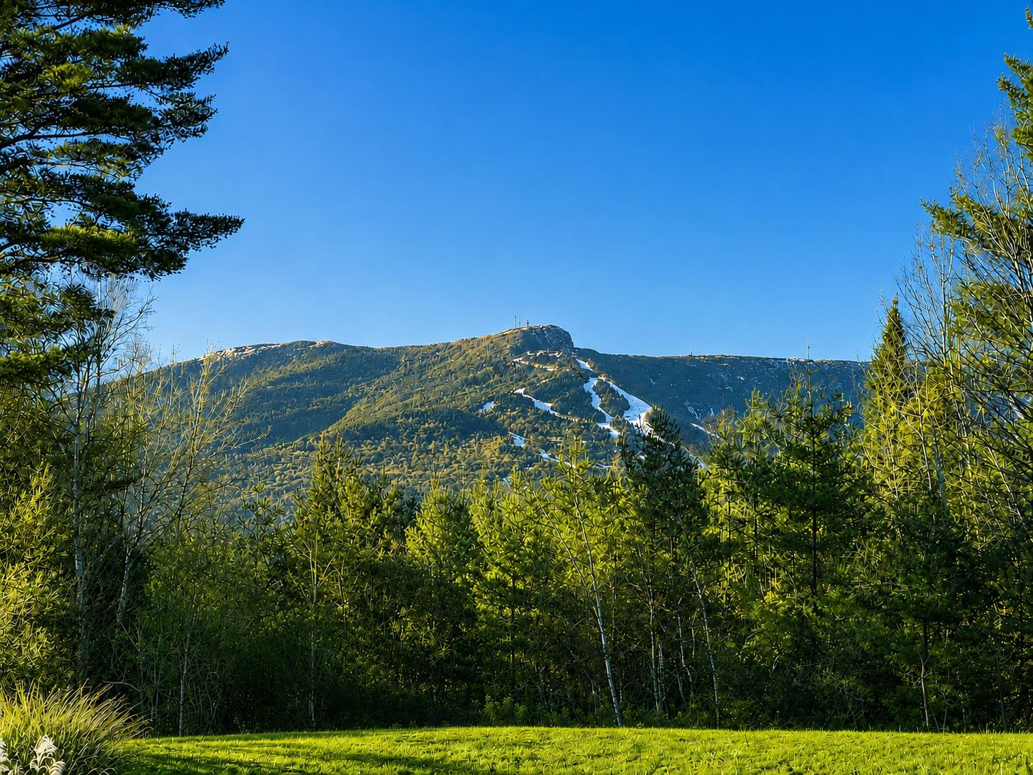 740 Edson Hill Road Stowe, VT 05672 - Photo 8 of 42 Gallery Image 8