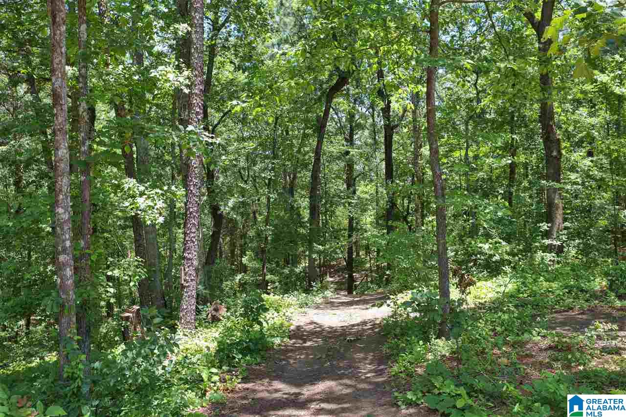 5870 Fletcher Road McCalla, AL 35111 - Photo 26 of 26 Gallery Image 26