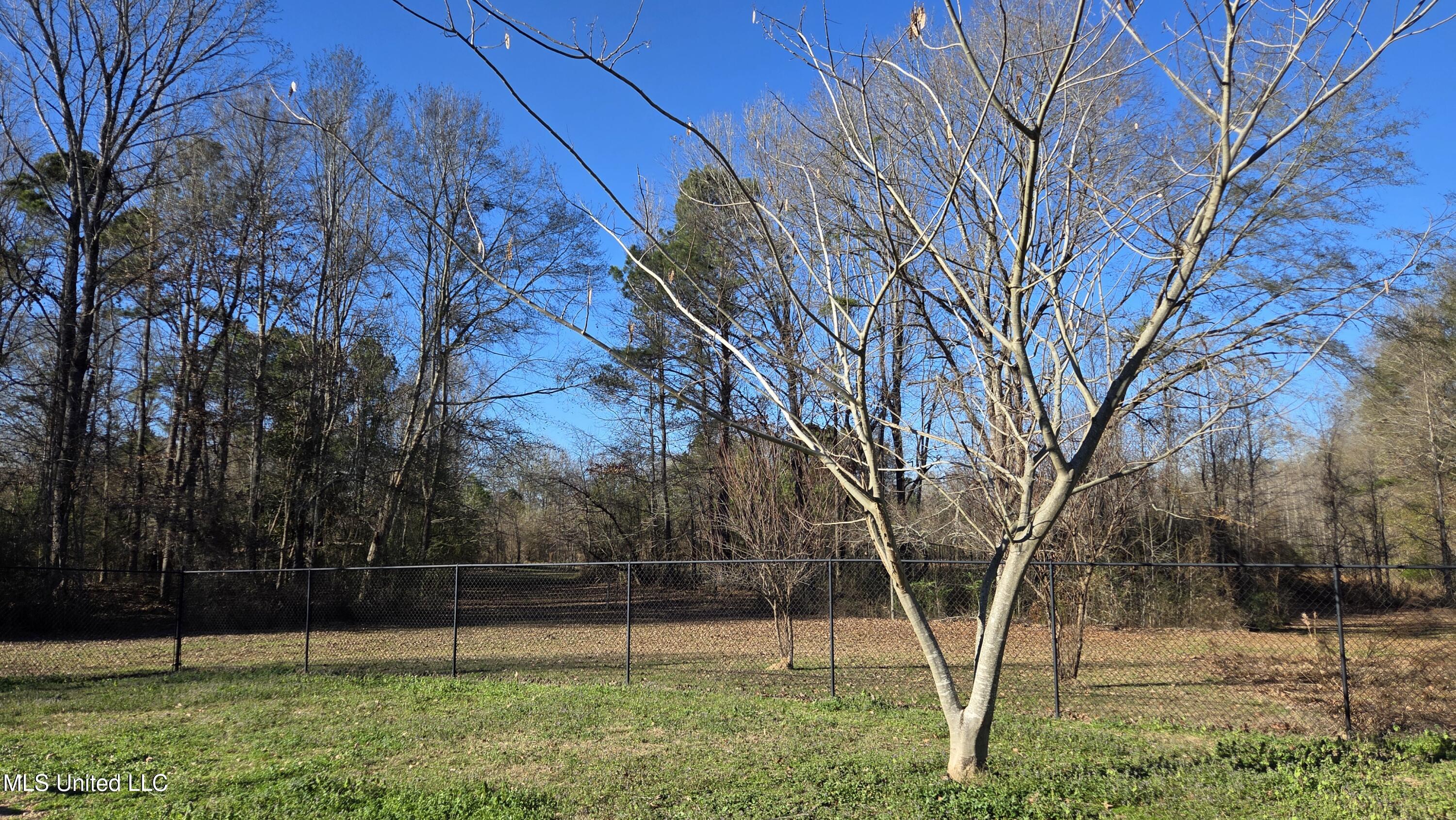 2145 Tommy Ford Road Utica, MS 39175 - Photo 10 of 11 2145 Tommy Ford Back Yard