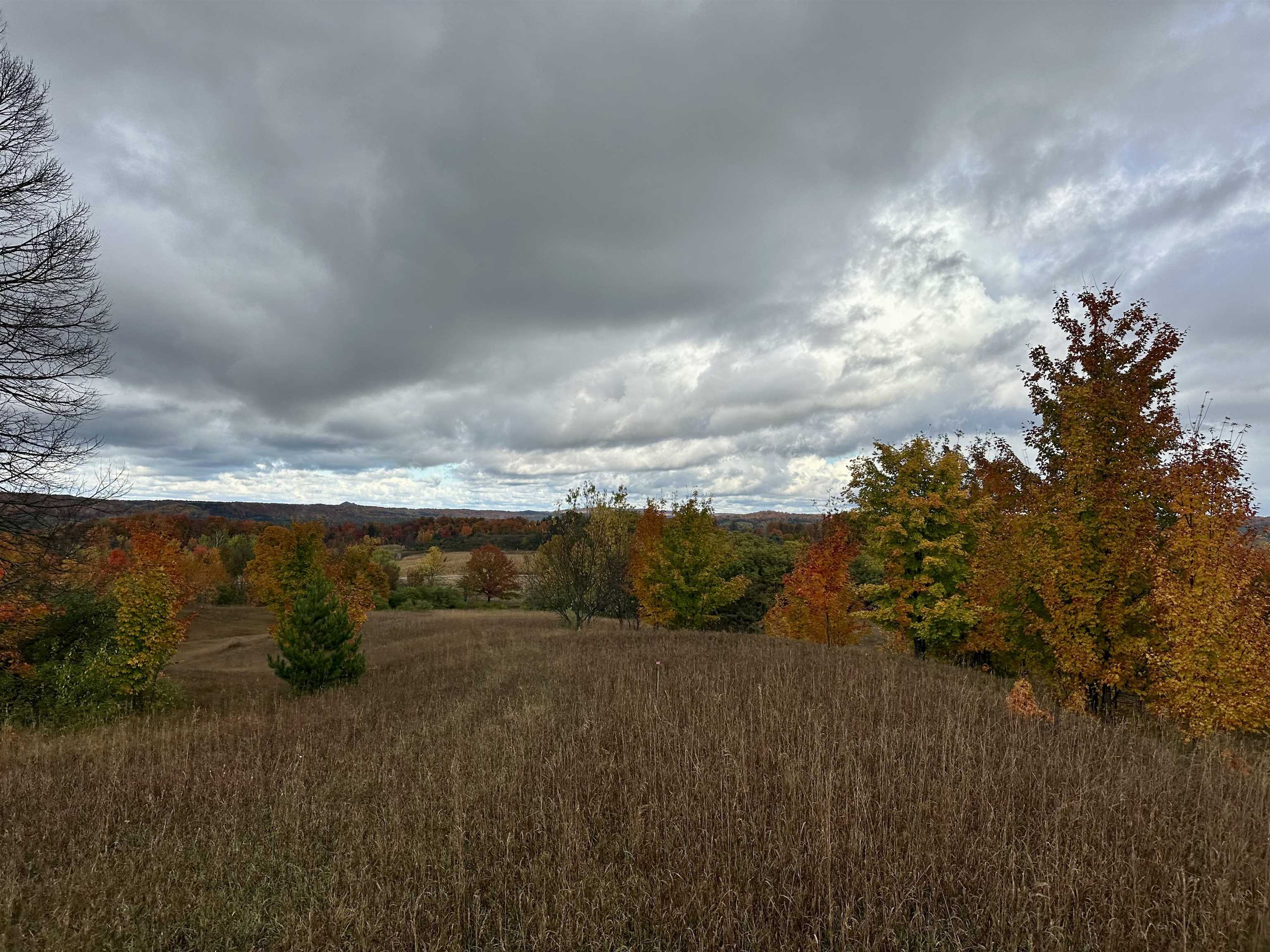 40.6-acres Off East Popa Road Cedar, MI 49621 - Photo 29 of 38 Gallery Image 29