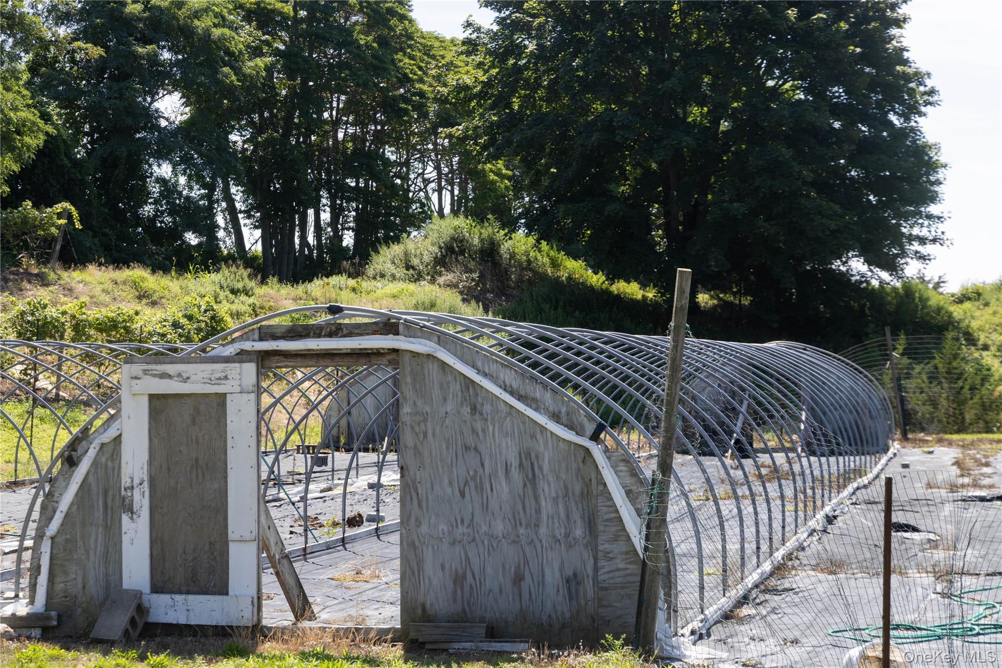 2450 Main Road Laurel, NY 11948 - Photo 18 of 33 Hoop house, one of five