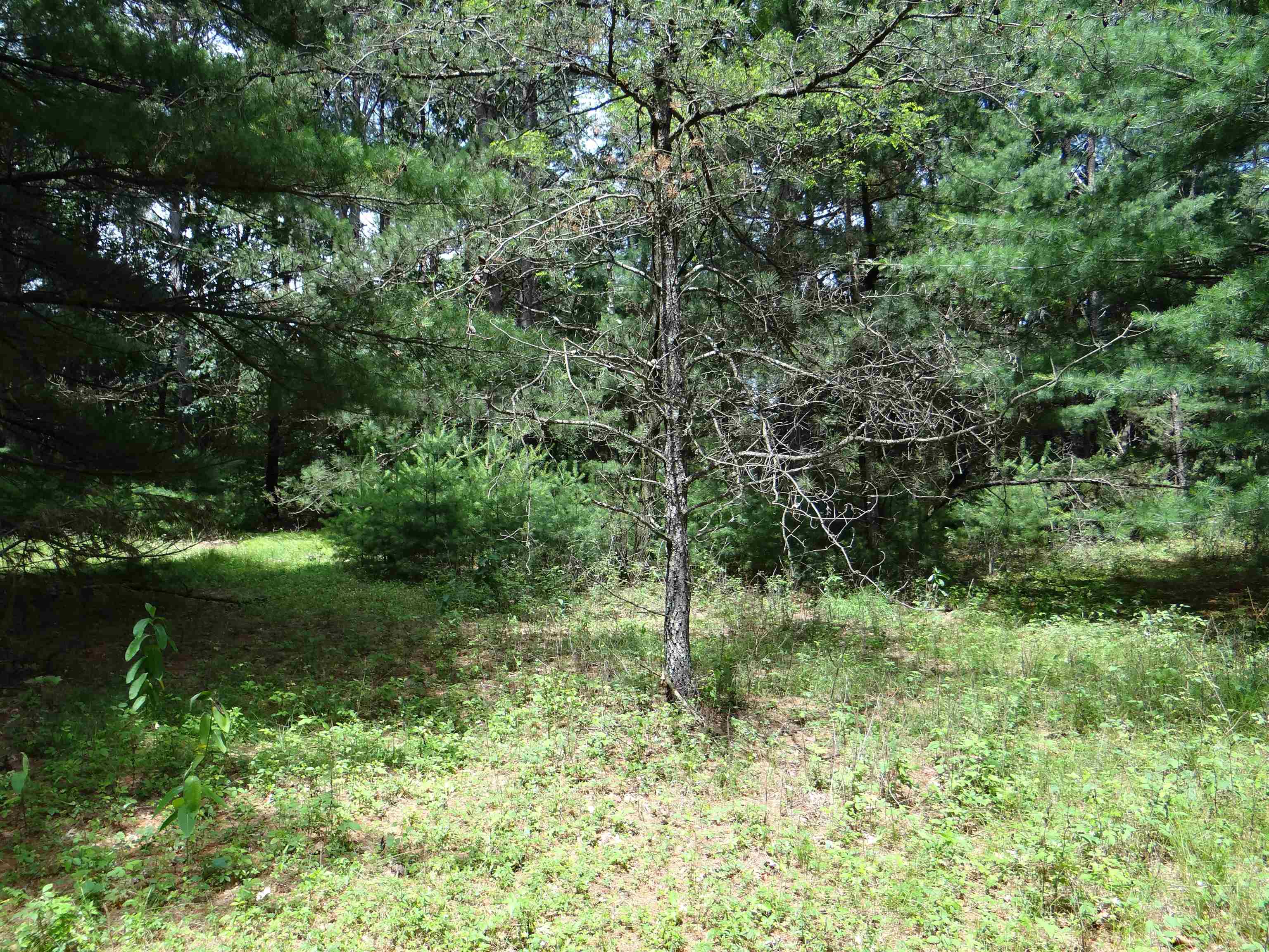 N1771 County Rd EE Redgranite, WI 54970 - Photo 24 of 33