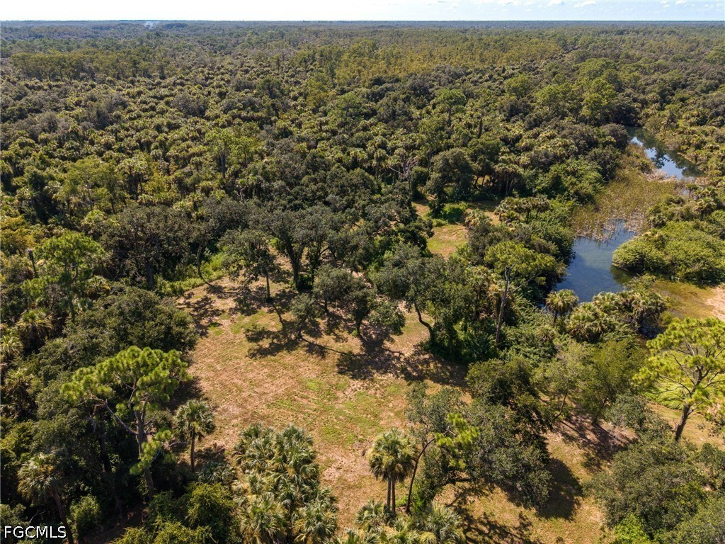 19040 Fox Run Road Alva, FL 33920 - Photo 20 of 42 Gallery Image 20