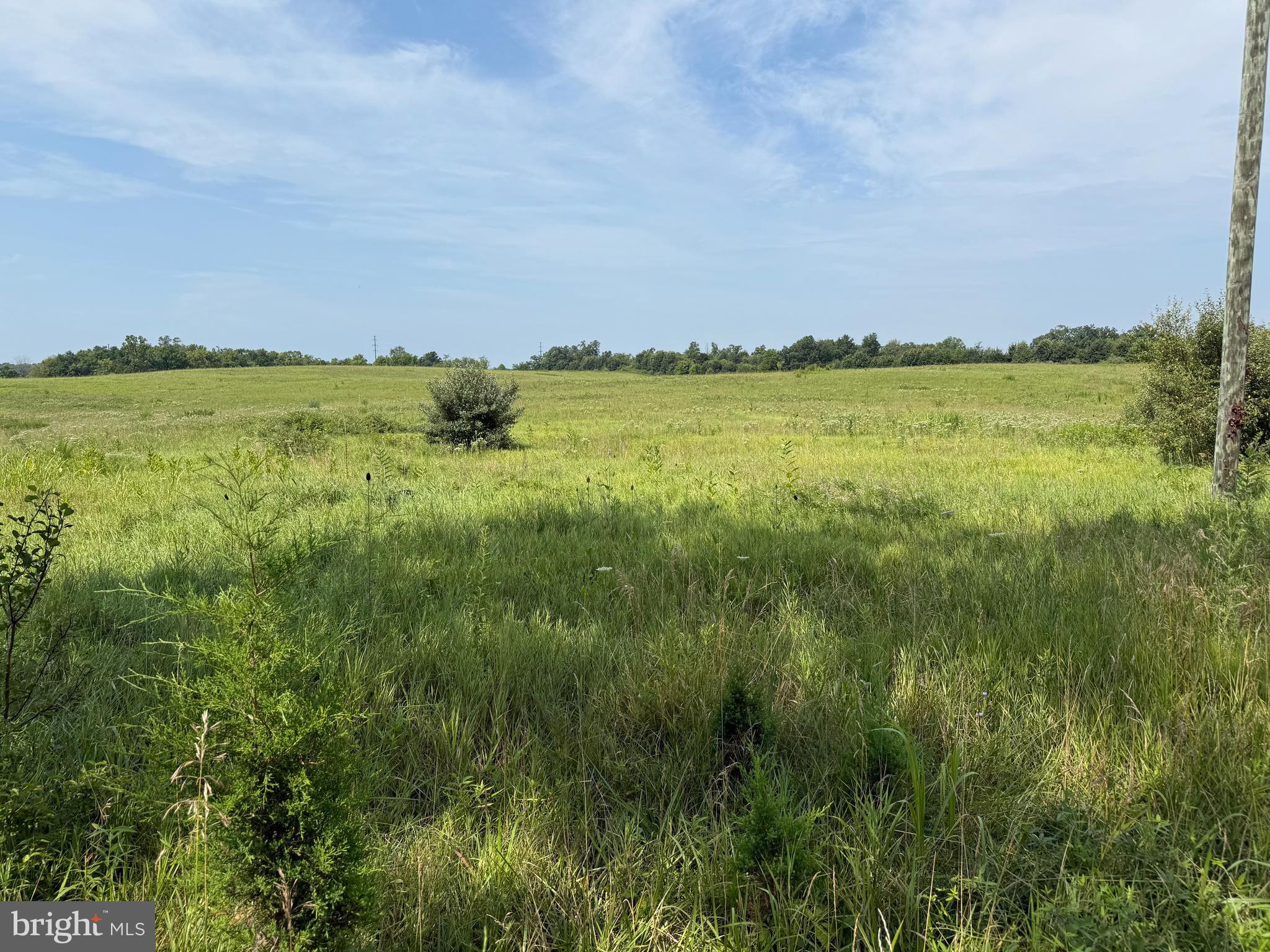 83 ID Van Metre Road Kearneysville, WV 25430 - Photo 3 of 11 a view of a large body of water with lots of bushes