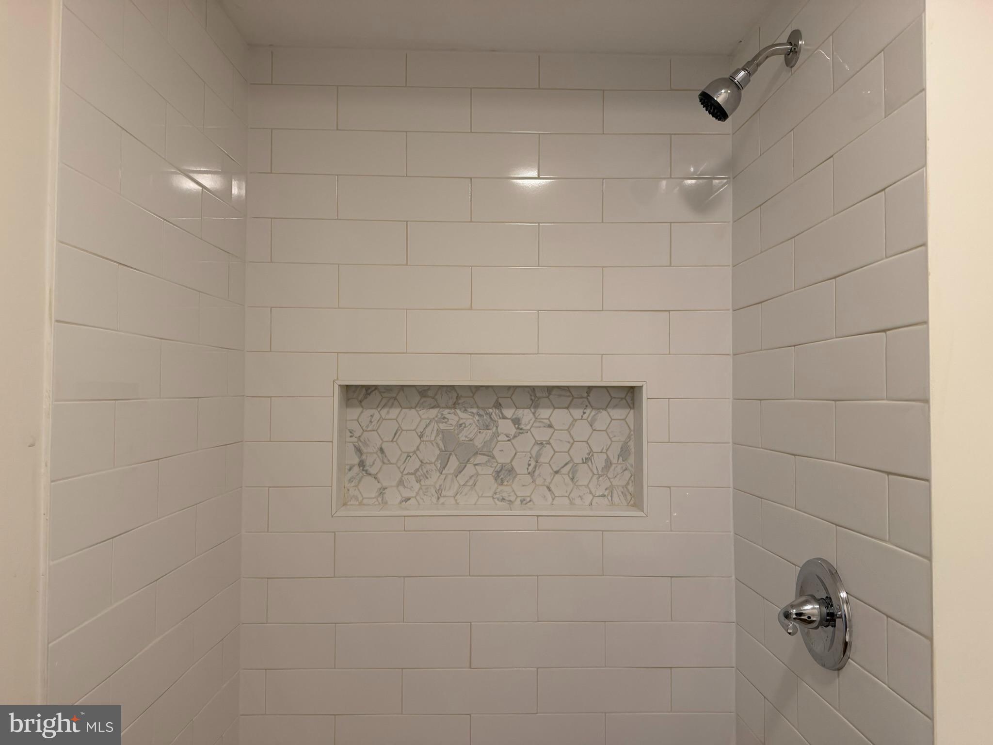 22616 Rum Bridge Road Georgetown, DE 19947 - Photo 17 of 24 full bath 1 - shower