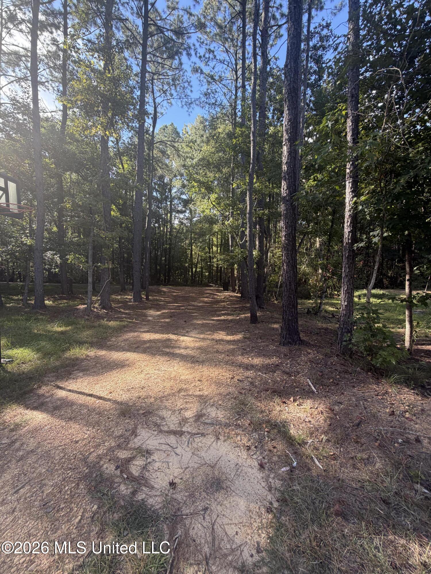 5172 Rockport Road Wesson, MS 39191 - Photo 10 of 23 IMG_4304