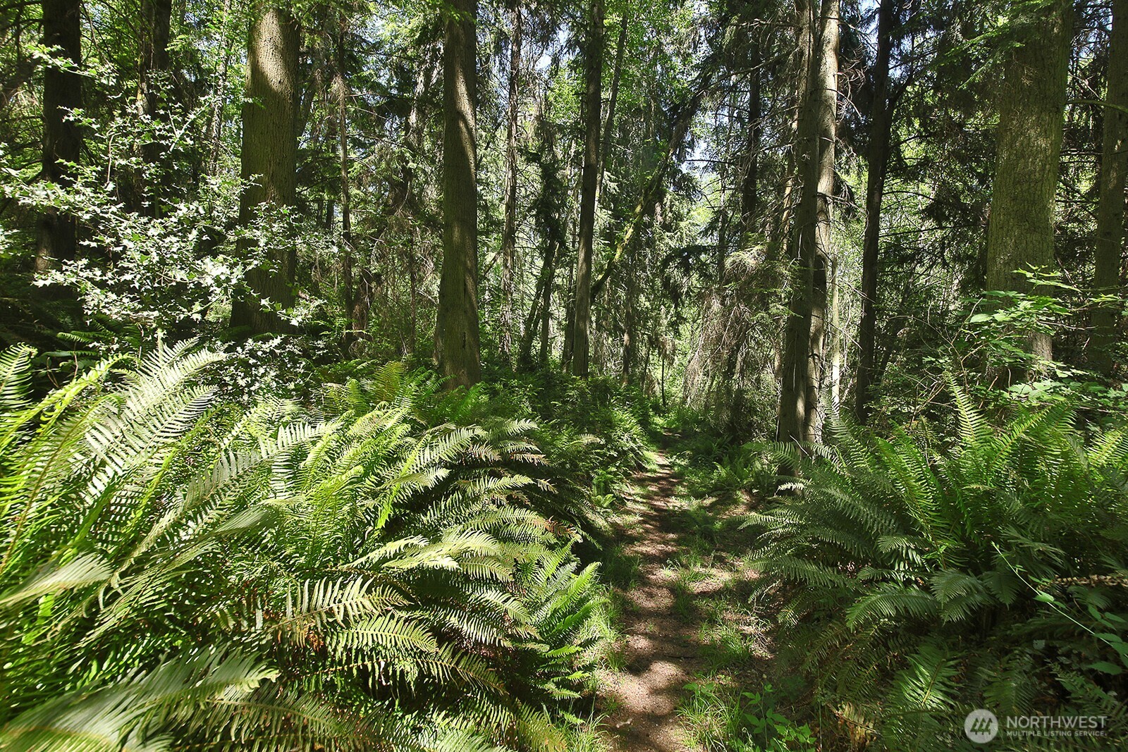 -xxxx Goss Ridge Road Freeland, WA 98249 - Photo 5 of 11