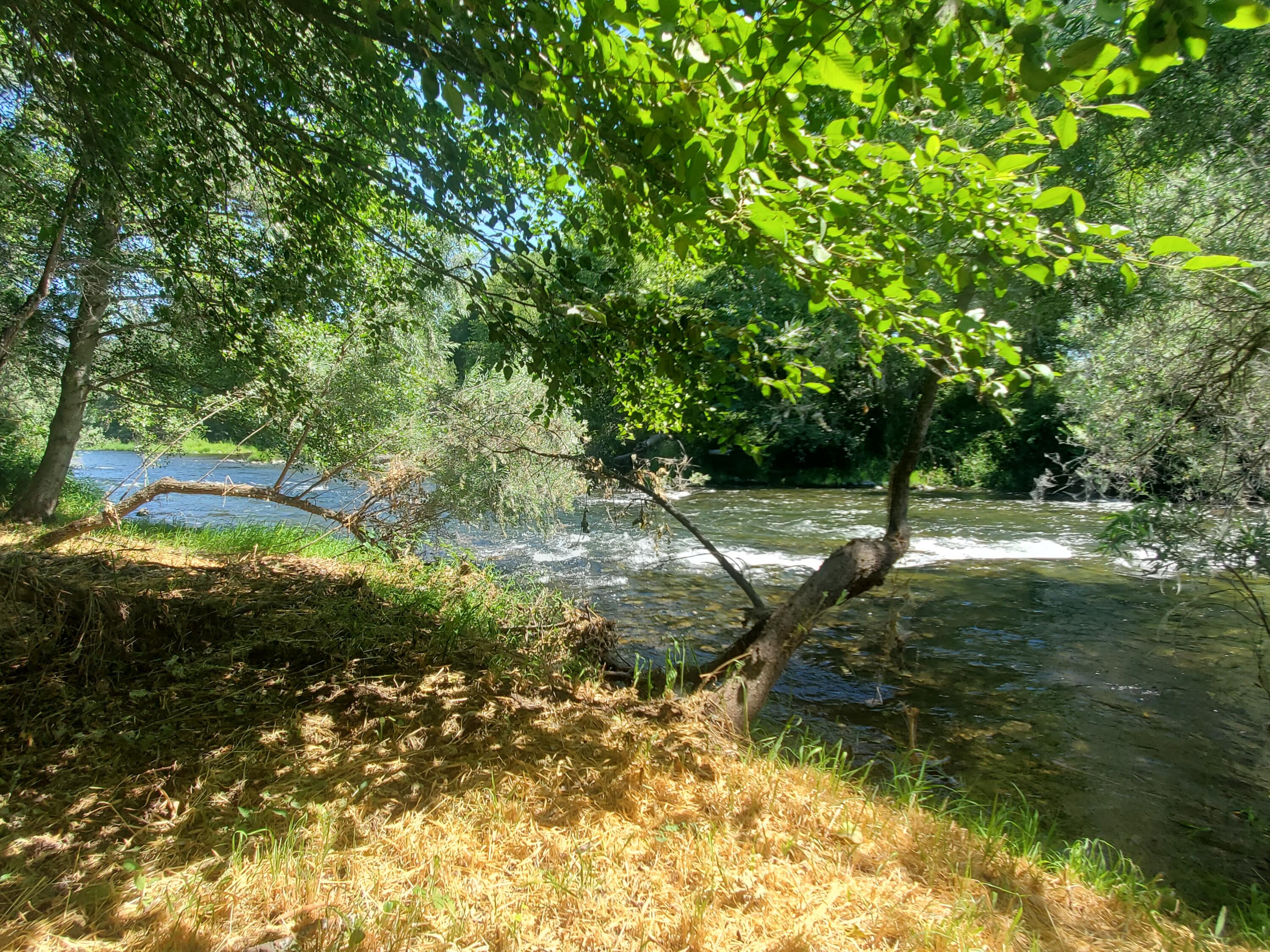 1090 Dunlap Road Jacksonville, OR 97530 - Photo 8 of 72 20240715_110926
