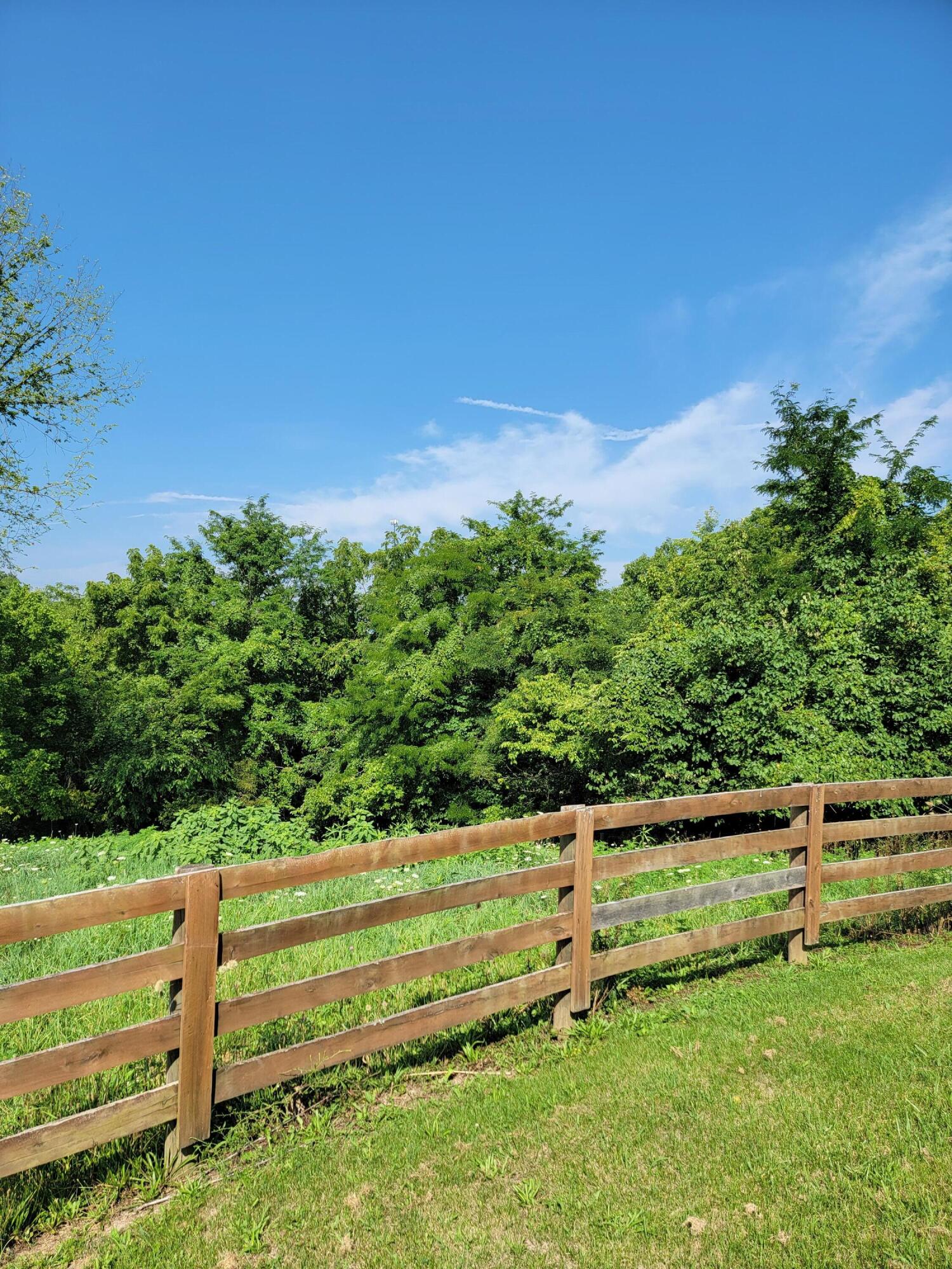 1014 Sardis Road Mount Olivet, KY 41064 - Photo 2 of 11 Gallery Image 2