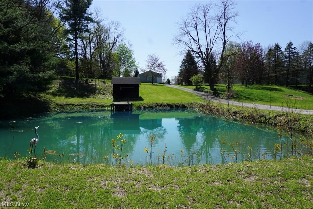 4173 South Ridge Road East Geneva, OH 44041 - Photo 31 of 42 Pond in rear yard
