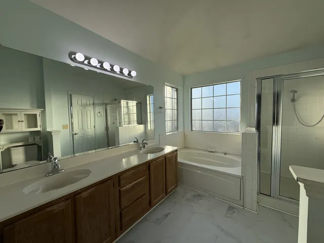 a bathroom with a tub a double vanity sink and a mirror