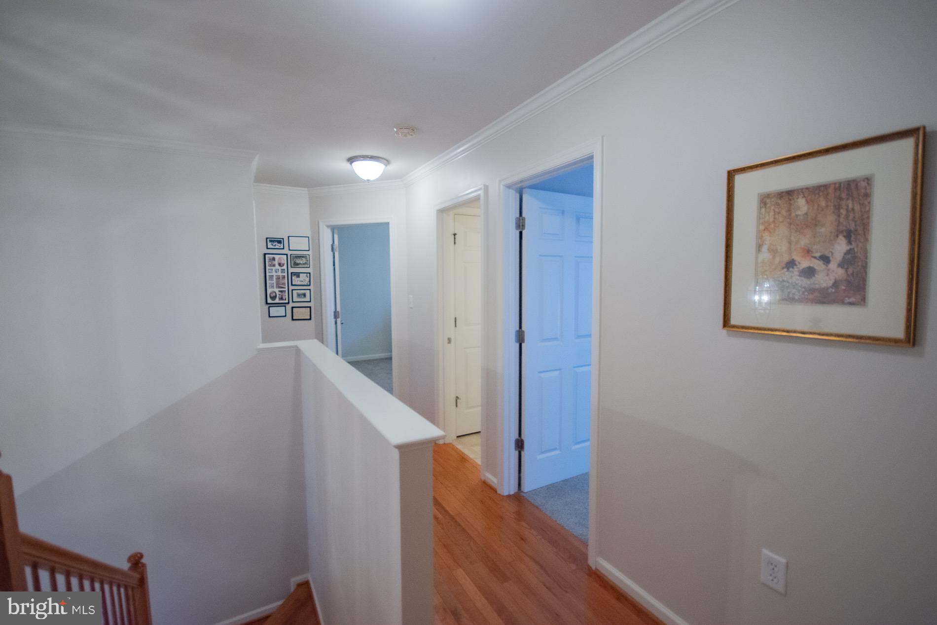 567 Rivanna Run Falling Waters, WV 25419 - Photo 29 of 96