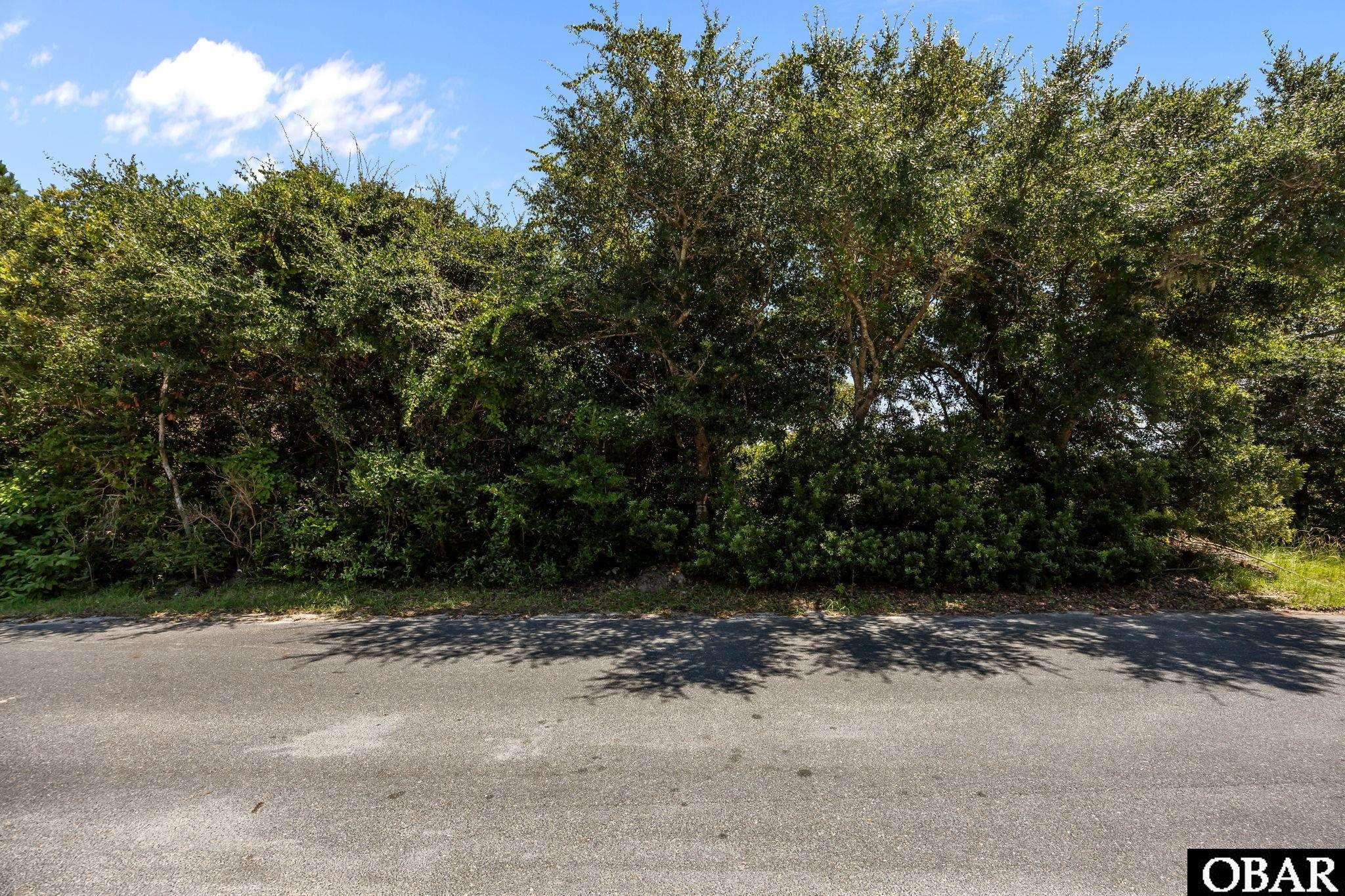 50778 Timber Trail Frisco, NC 27920 - Photo 15 of 16