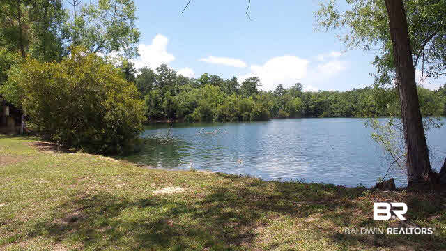0 West Railroad Street Castleberry, AL 36432 - Photo 8 of 41
