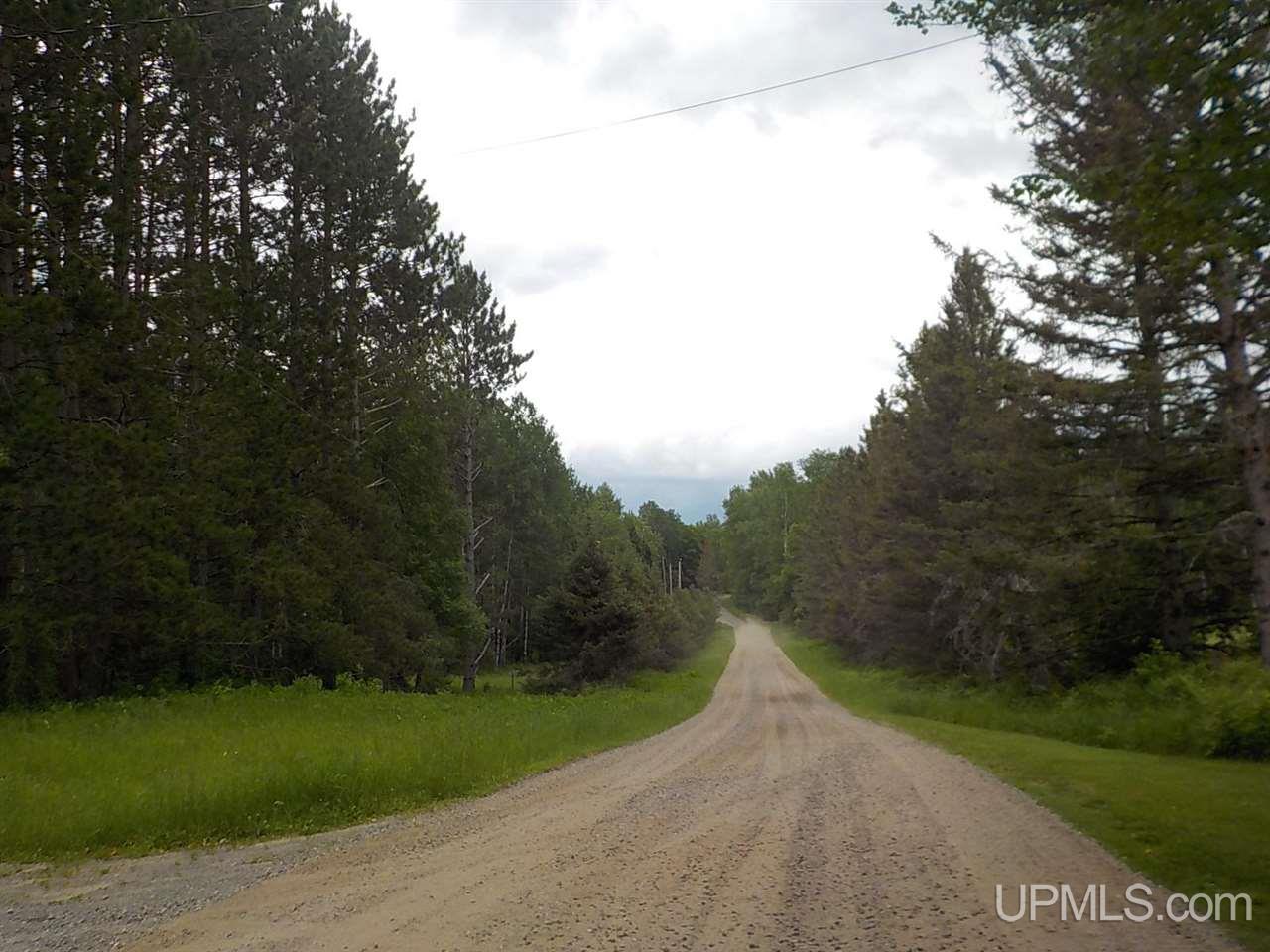 178 Carlson Road Crystal Falls, MI 49920 - Photo 34 of 37
