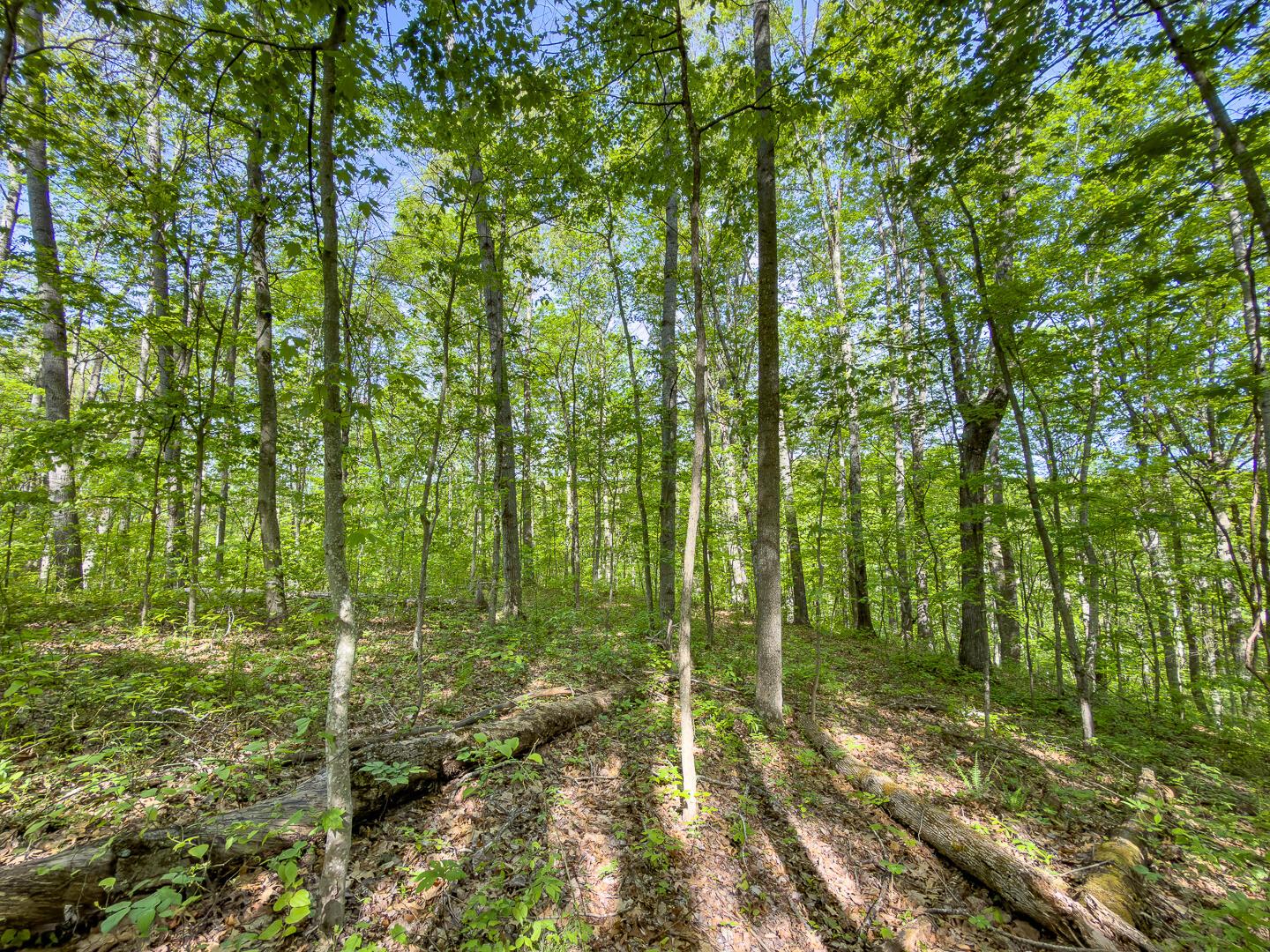 2 Perry Ridge Road Wilkesville, OH 45695 - Photo 17 of 27 Perry Ridge Rd Tract 2-9