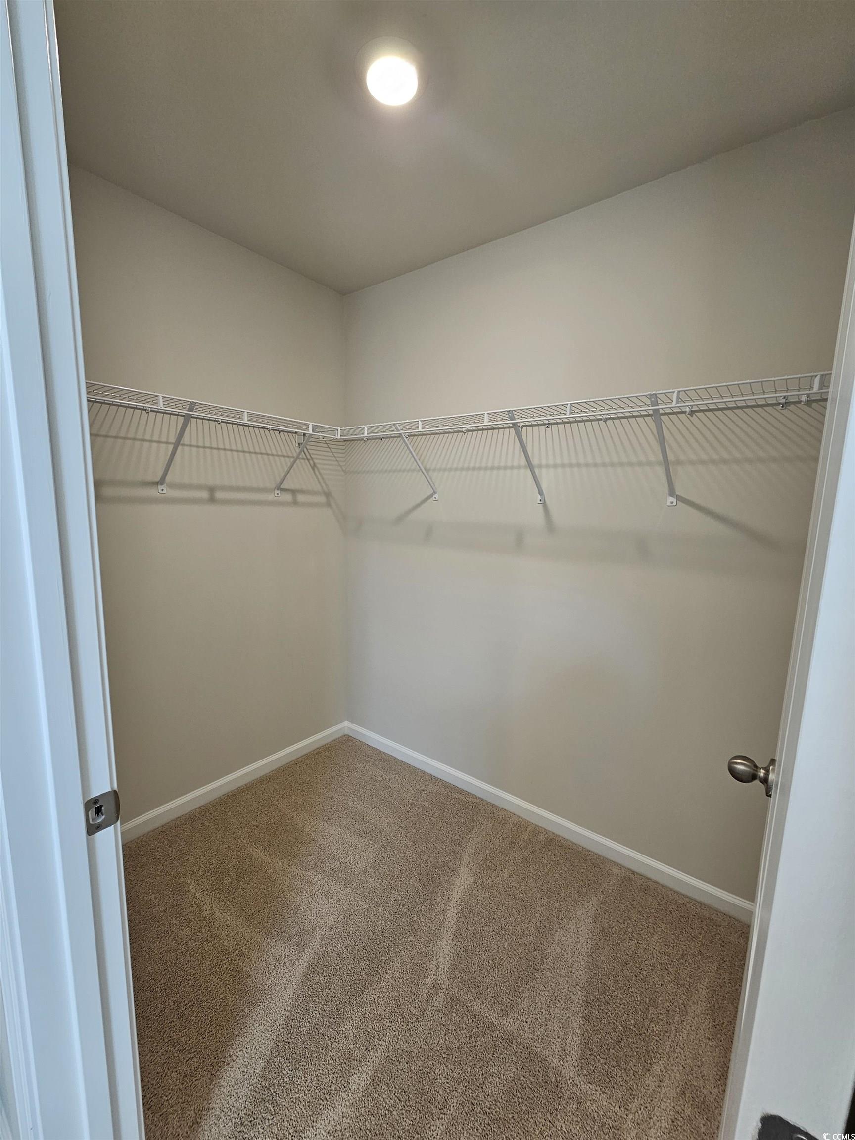 374 Jeff Waters Circle Longs, SC 29568 - Photo 11 of 22 Spacious closet featuring carpet