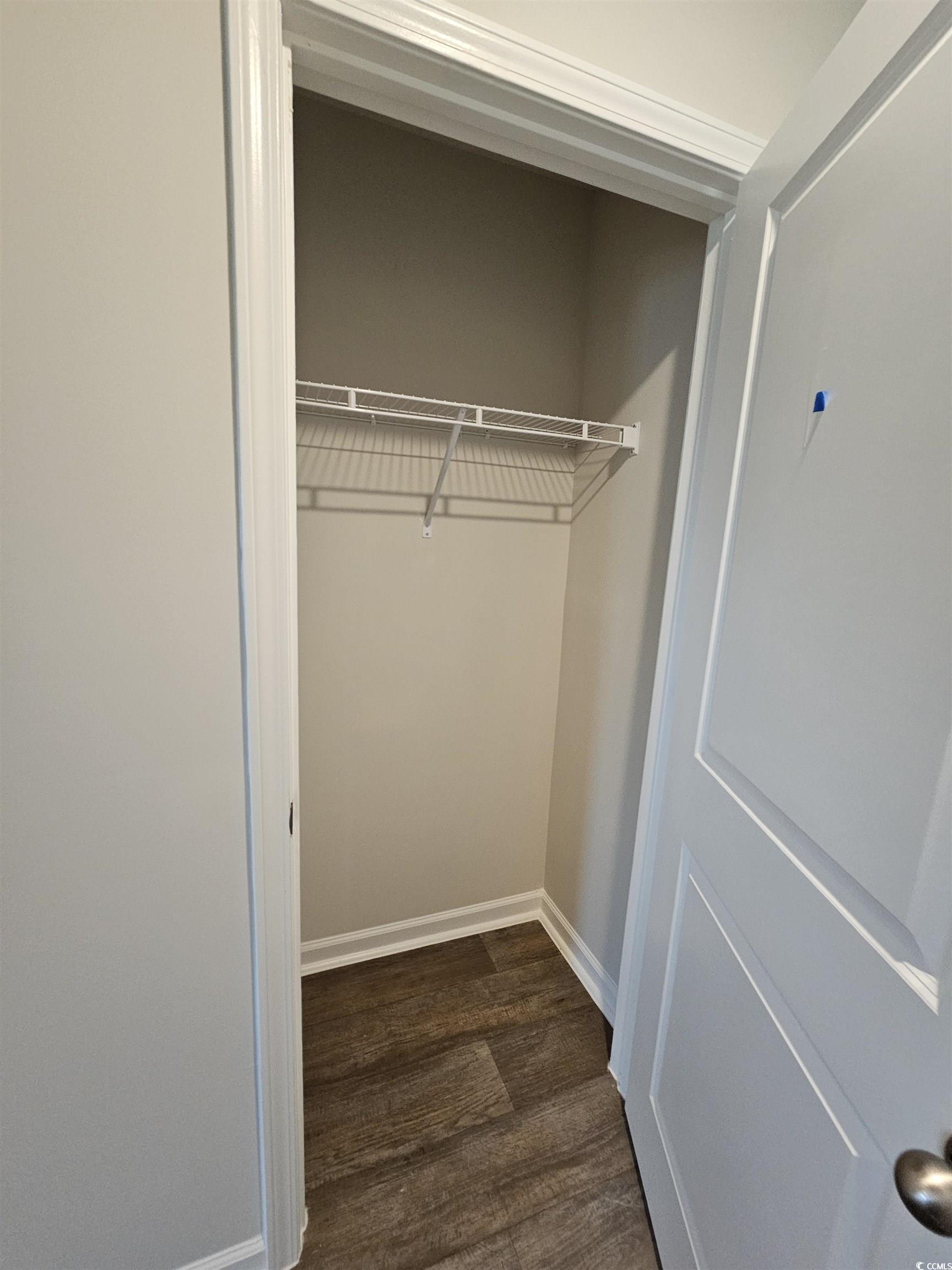 374 Jeff Waters Circle Longs, SC 29568 - Photo 16 of 22 View of closet