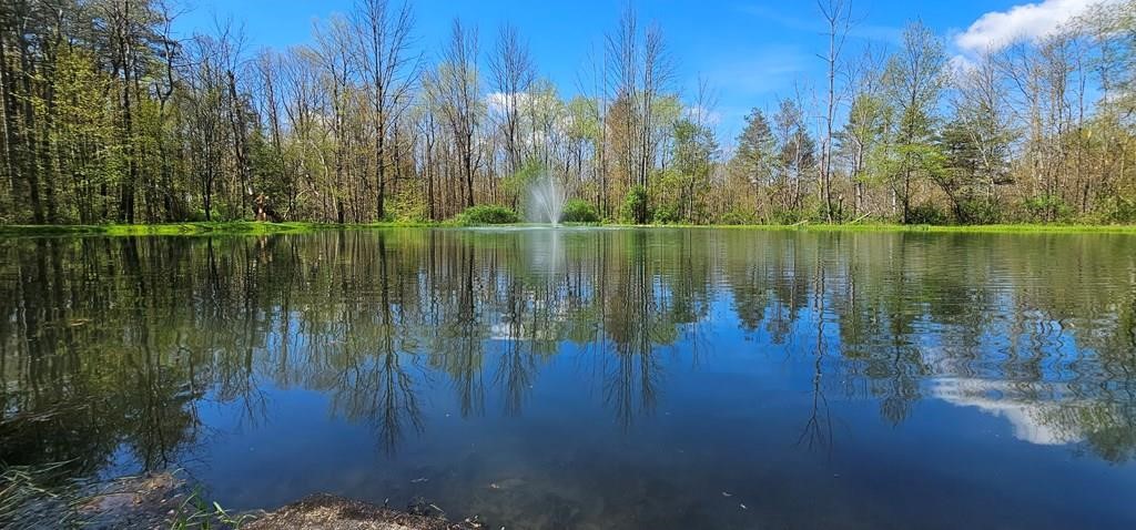 367 Ellison Road Barton, NY 14859 - Photo 9 of 48 Let's go for a swim!