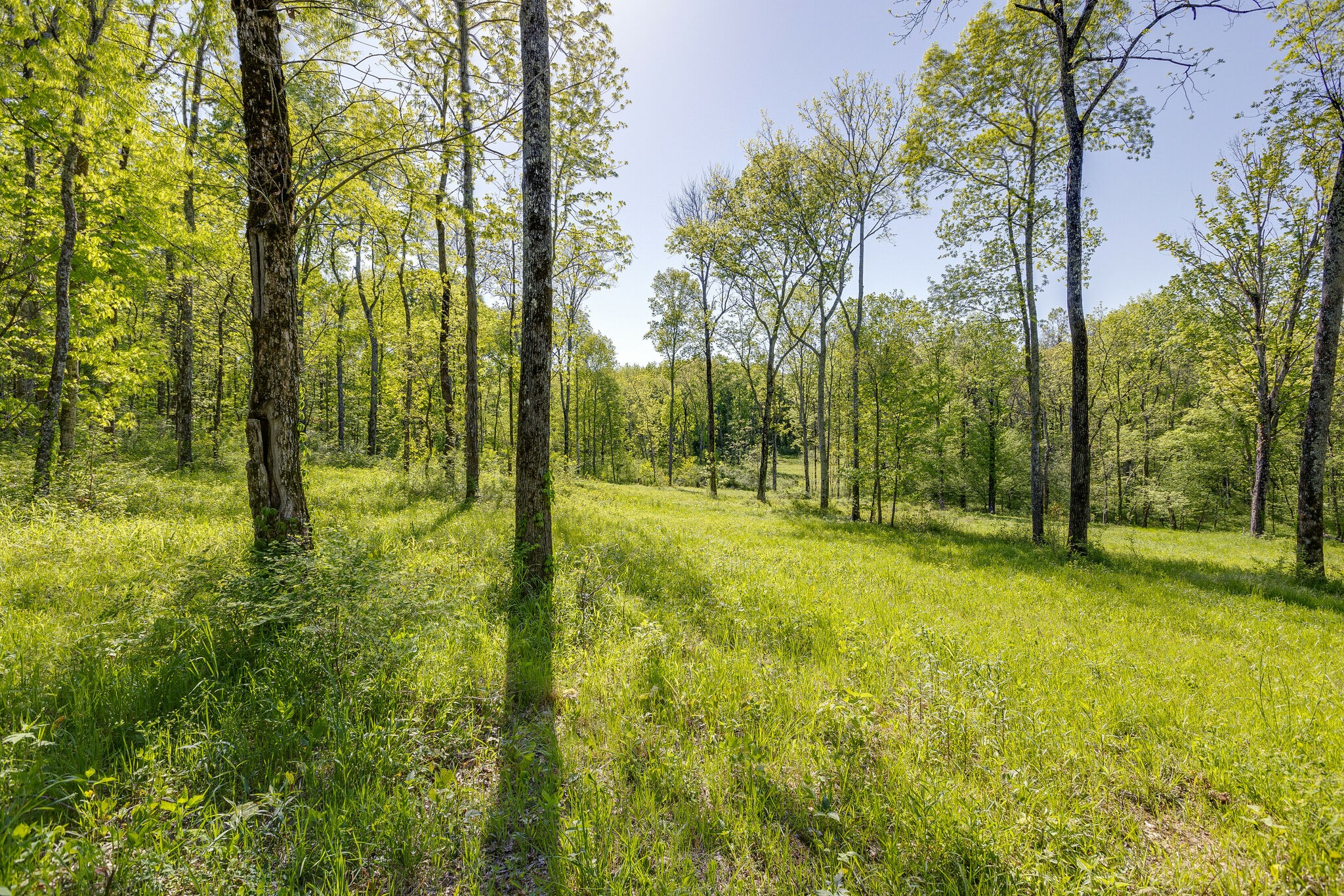 8569 Taliaferro Road Eagleville, TN 37060 - Photo 3 of 14 Gallery Image 3