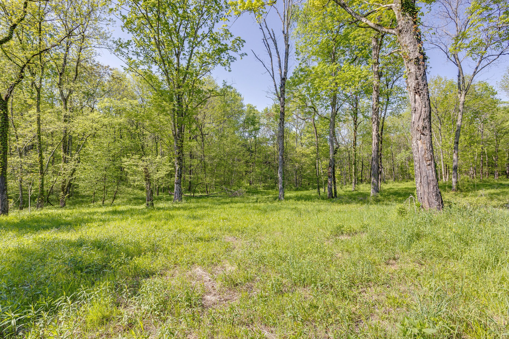 8569 Taliaferro Road Eagleville, TN 37060 - Photo 5 of 14 Gallery Image 5