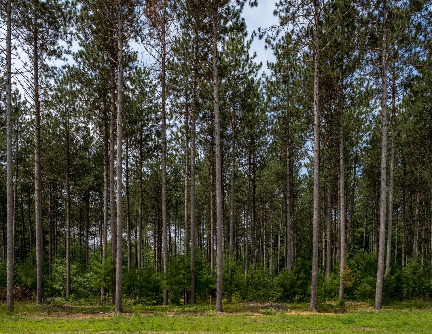 Lot 2 Two Sisters Court Stevens Point, WI 54481 - Photo 1 of 1