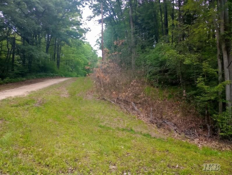 Lot 9 West Road Gladwin, MI 48624 - Photo 7 of 8