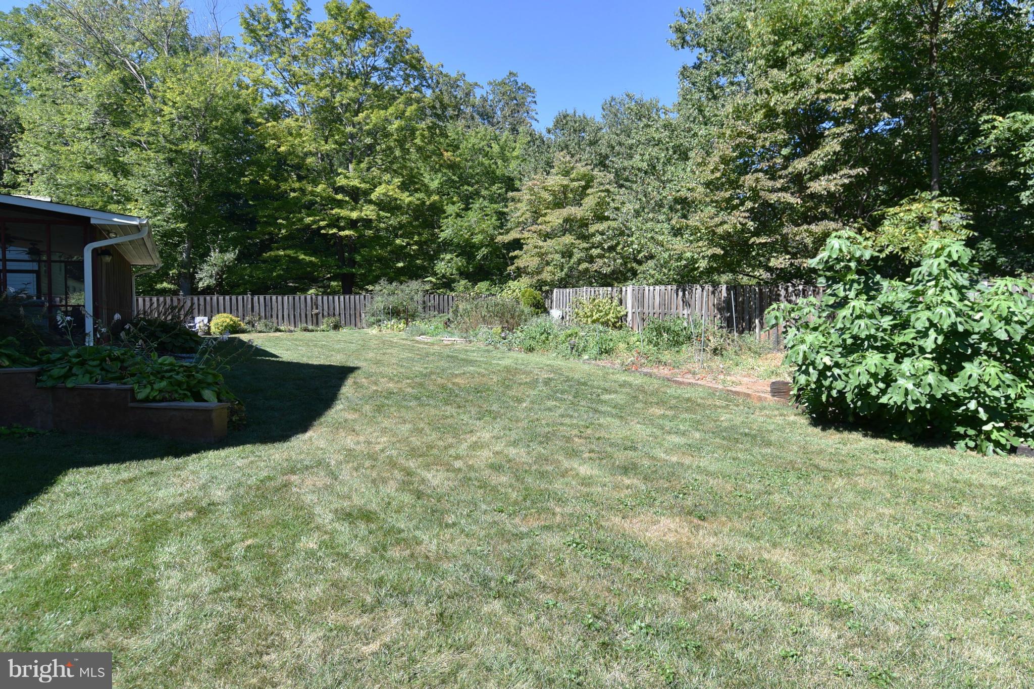 2116 Countryside Drive Silver Spring, MD 20905 - Photo 2 of 30 Large fenced back yard