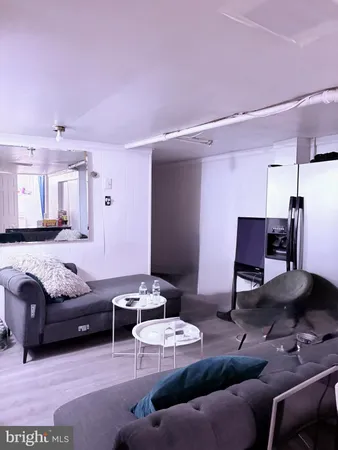 a living room with a couch and a potted plant