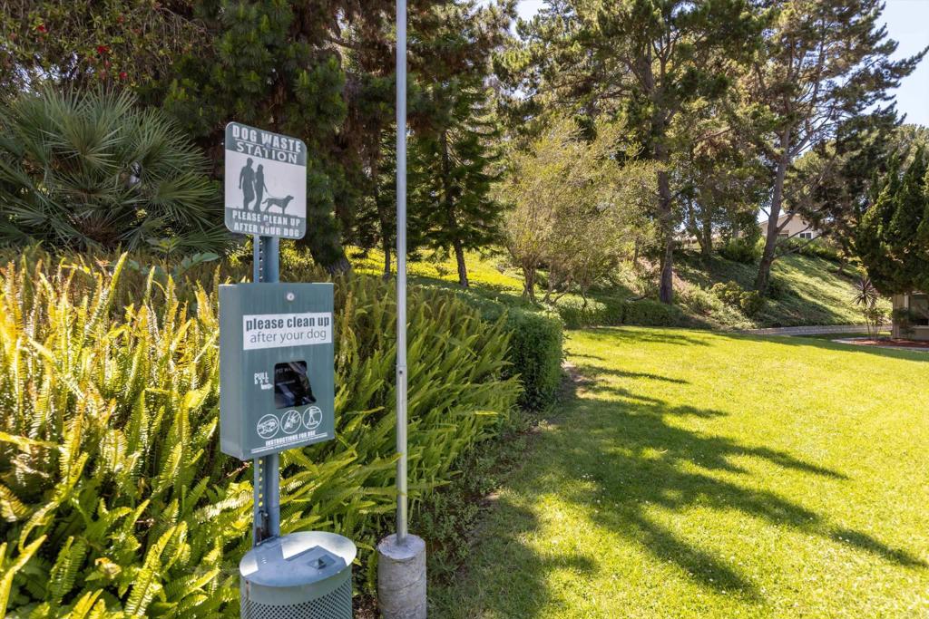 4378 Dowitcher Way Oceanside, CA 92057 - Photo 39 of 47 Community Dog Park