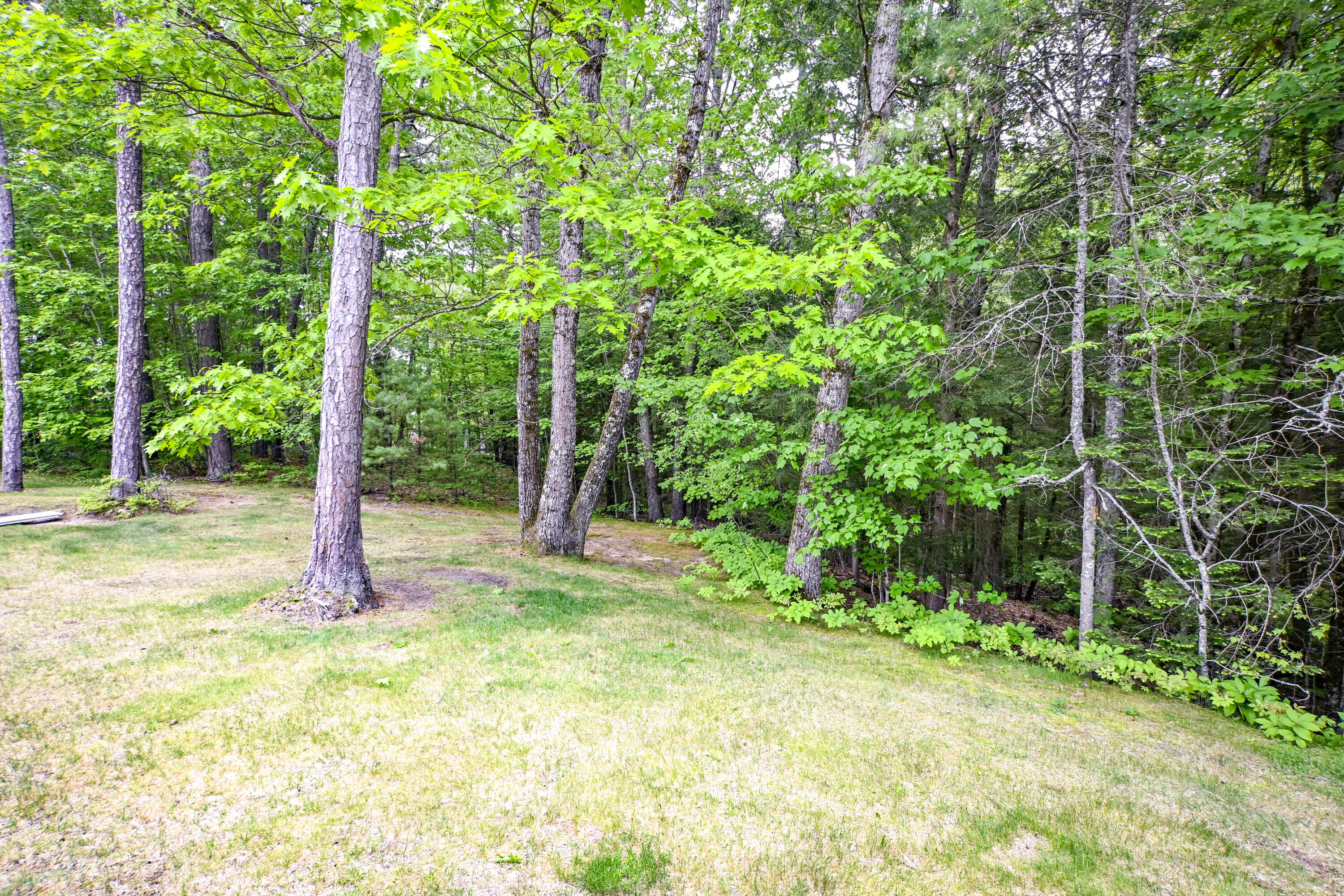 19 Pine Valley Road Old Orchard Beach, ME 04064 - Photo 56 of 56 19PineValleyRd-71