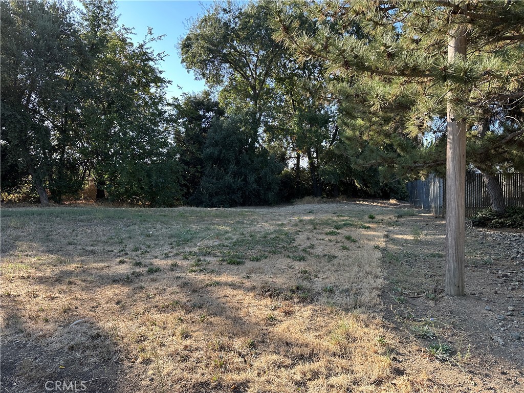 0 Oak Street East Willows, CA 95988 - Photo 4 of 4 a view of backyard with green space