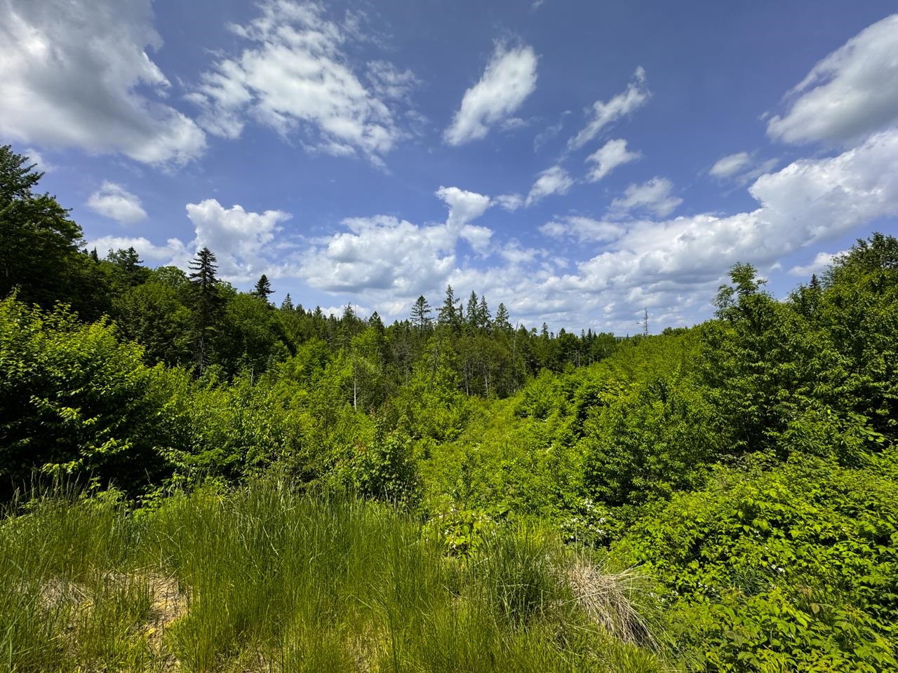0 Lynburke Road, Unit LOT 1 Lyndonville, VT 05851 - Photo 28 of 46