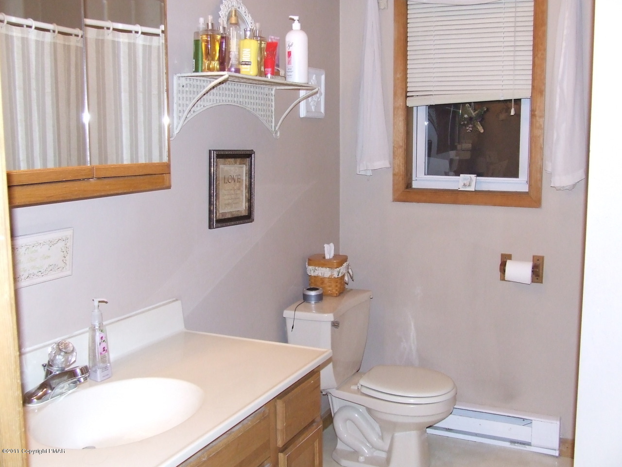 37 Edelweiss Road East Stroudsburg, PA 18302 - Photo 6 of 13 Main Bathroom