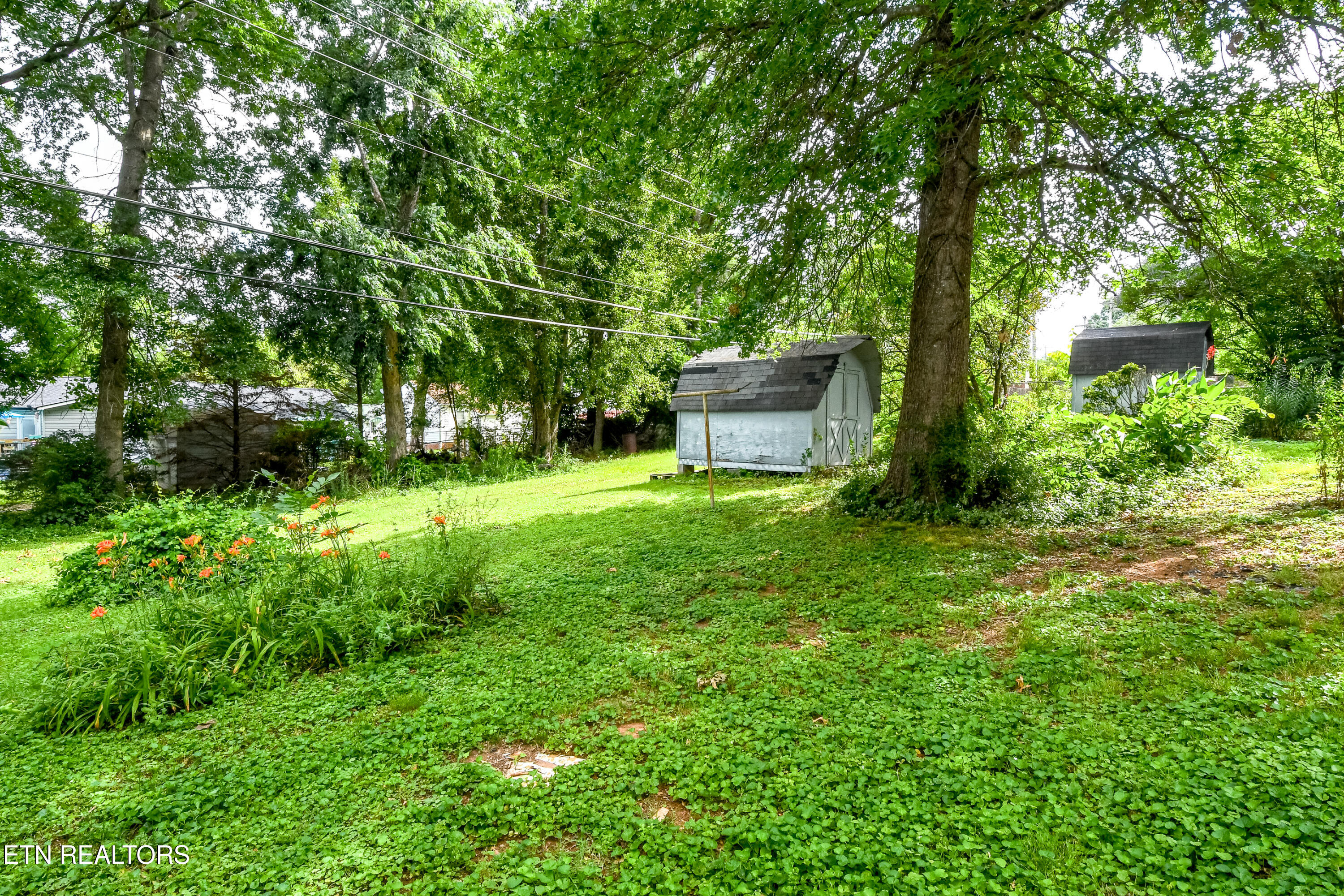 206 Main Road Maryville, TN 37804 - Photo 14 of 14 DSC_6849 - Copy
